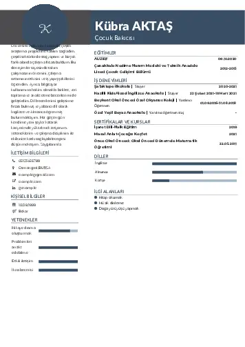 Çocuk Bakıcısı CV Örnekleri cv indir